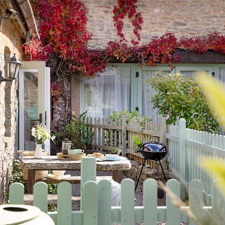 Daisy Cottage Paignton Exterior foto