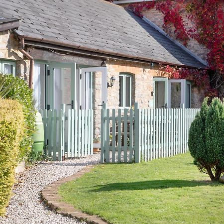 Daisy Cottage Paignton Exterior foto